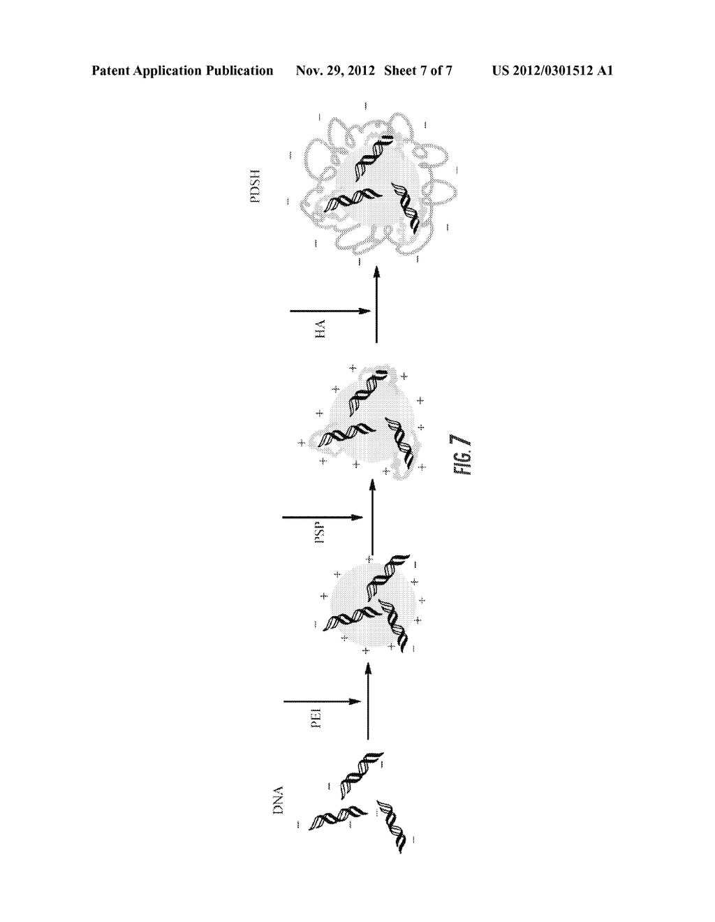 Tetrary Gene Delivery System for Gene Therapy and Methods of Its Use - diagram, schematic, and image 08