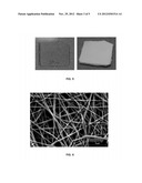 DEVELOPMENT OF BIOACTIVE ELECTROSPUN COATINGS FOR BIOMEDICAL APPLICATIONS diagram and image