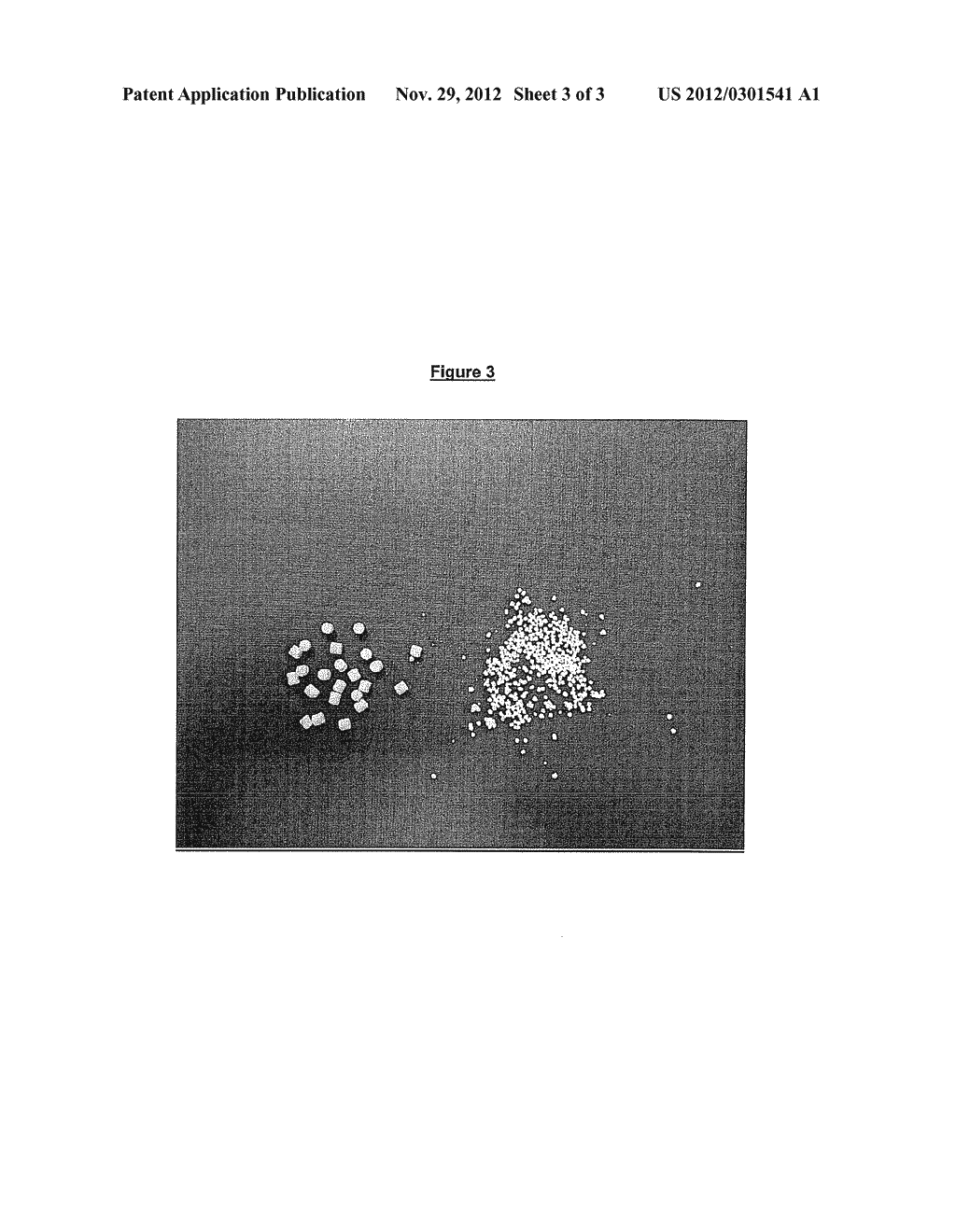 COMPRESSED CORE FOR PHARMACEUTICAL COMPOSITION - diagram, schematic, and image 04