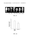 COMPOUNDS AND COMPOSITIONS FOR TREATING NEURONAL DEATH OR NEUROLOGICAL     DYSFUNCTION diagram and image