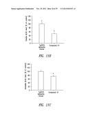 COMPOUNDS AND COMPOSITIONS FOR TREATING NEURONAL DEATH OR NEUROLOGICAL     DYSFUNCTION diagram and image