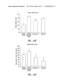 COMPOUNDS AND COMPOSITIONS FOR TREATING NEURONAL DEATH OR NEUROLOGICAL     DYSFUNCTION diagram and image