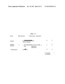 TRANSGENIC PHOTOSYNTHETIC MICROORGANISMS AND PHOTOBIOREACTOR diagram and image