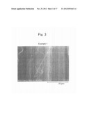 CARBON NANOTUBE COMPOSITE AND METHOD FOR MAKING THE SAME diagram and image