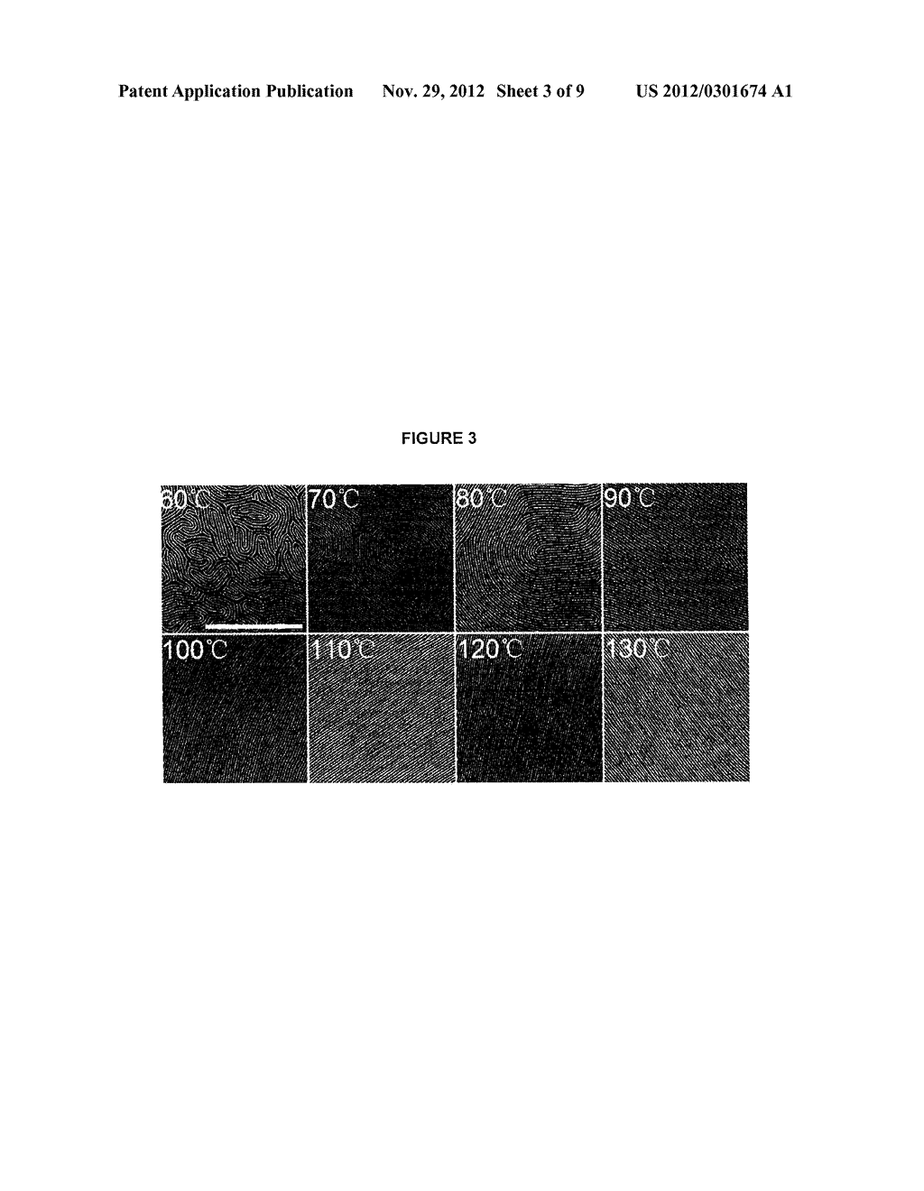 METHOD FOR ORGANIZING A BLOCK COPOLYMER - diagram, schematic, and image 04