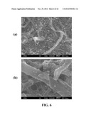 Carbon nanotube and nanofiber film-based membrane electrode assemblies diagram and image