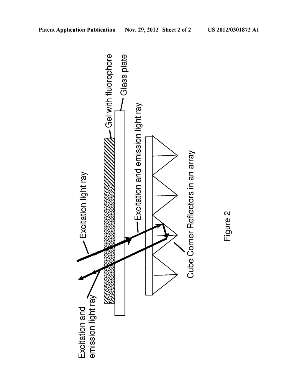 SYSTEM AND METHOD FOR INCREASED FLUORESCENCE DETECTION - diagram, schematic, and image 03