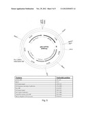 HUMAN LONG PENTRAXIN 3 EXPRESSION SYSTEM AND USES THEREOF diagram and image