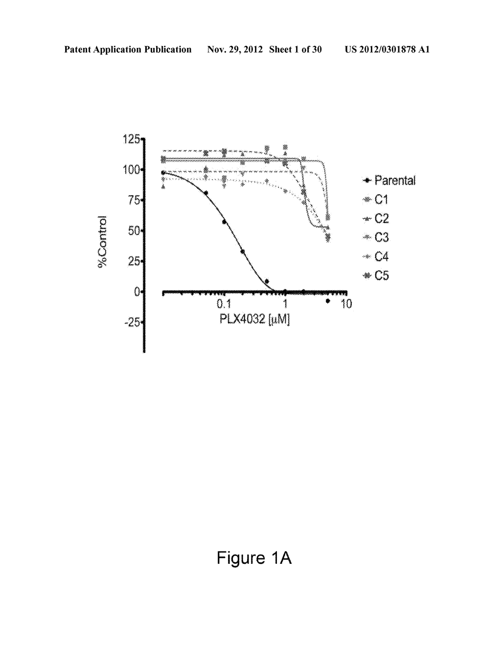 METHODS AND COMPOSITIONS FOR THE DETECTION OF DRUG RESISTANT BRAF ISOFORMS - diagram, schematic, and image 02