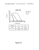 METHODS AND COMPOSITIONS FOR THE DETECTION OF DRUG RESISTANT BRAF ISOFORMS diagram and image