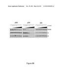 METHODS AND COMPOSITIONS FOR THE DETECTION OF DRUG RESISTANT BRAF ISOFORMS diagram and image