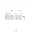 METHODS AND COMPOSITIONS FOR THE DETECTION OF DRUG RESISTANT BRAF ISOFORMS diagram and image
