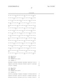 METHODS AND COMPOSITIONS FOR THE DETECTION OF DRUG RESISTANT BRAF ISOFORMS diagram and image