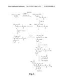 ALKYL AMINE COMPOUNDS FOR FLUORESCENT LABELING diagram and image