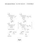 ALKYL AMINE COMPOUNDS FOR FLUORESCENT LABELING diagram and image