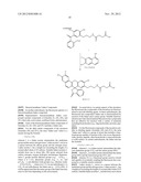 ALKYL AMINE COMPOUNDS FOR FLUORESCENT LABELING diagram and image