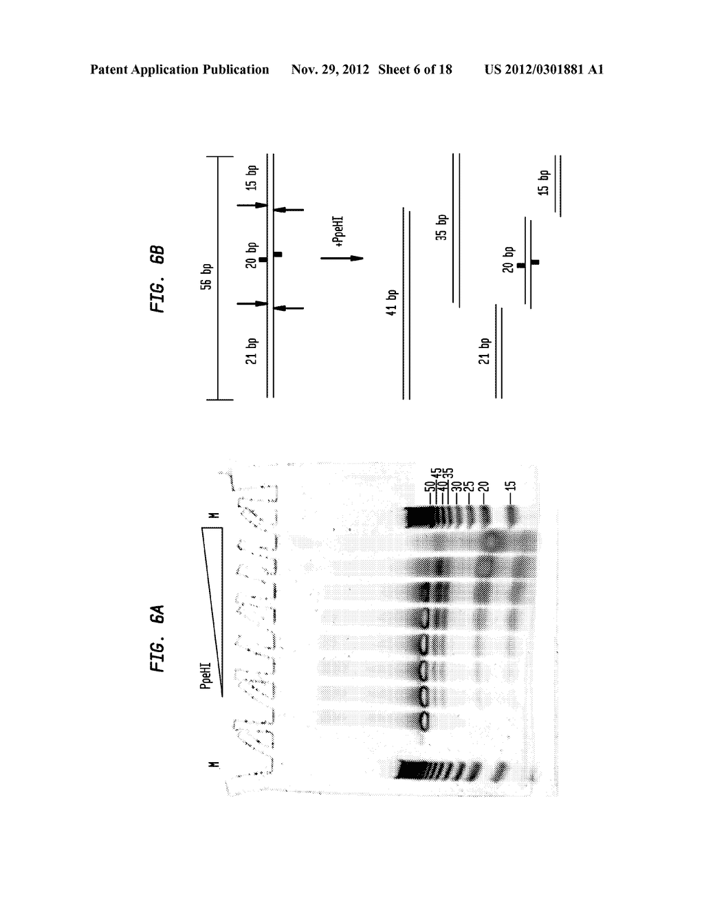 Compositions, Methods and Related Uses for Cleaving Modified DNA - diagram, schematic, and image 07