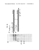 Compositions, Methods and Related Uses for Cleaving Modified DNA diagram and image