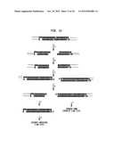 Compositions, Methods and Related Uses for Cleaving Modified DNA diagram and image