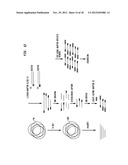 Compositions, Methods and Related Uses for Cleaving Modified DNA diagram and image