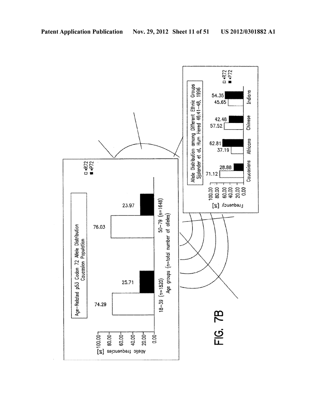 METHODS FOR GENERATING DATABASES AND DATABASES FOR IDENTIFYING POLYMORPHIC     GENETIC MARKERS - diagram, schematic, and image 12