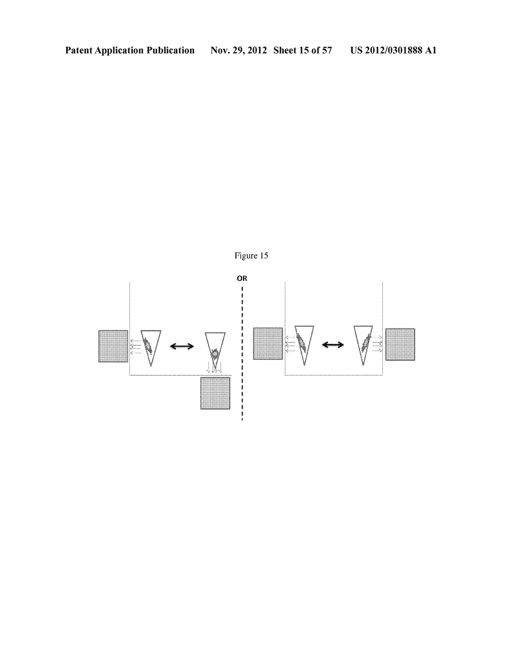 NMR SYSTEMS AND METHODS FOR THE RAPID DETECTION OF ANALYTES - diagram, schematic, and image 16