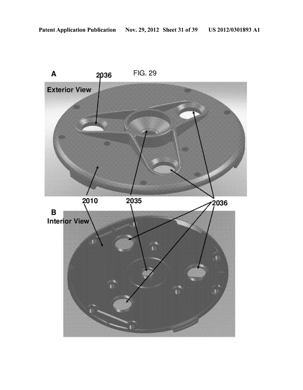 Analyte Detection Devices, Multiplex and Tabletop Devices for Detection of     Analyte, and Uses Thereof - diagram, schematic, and image 32