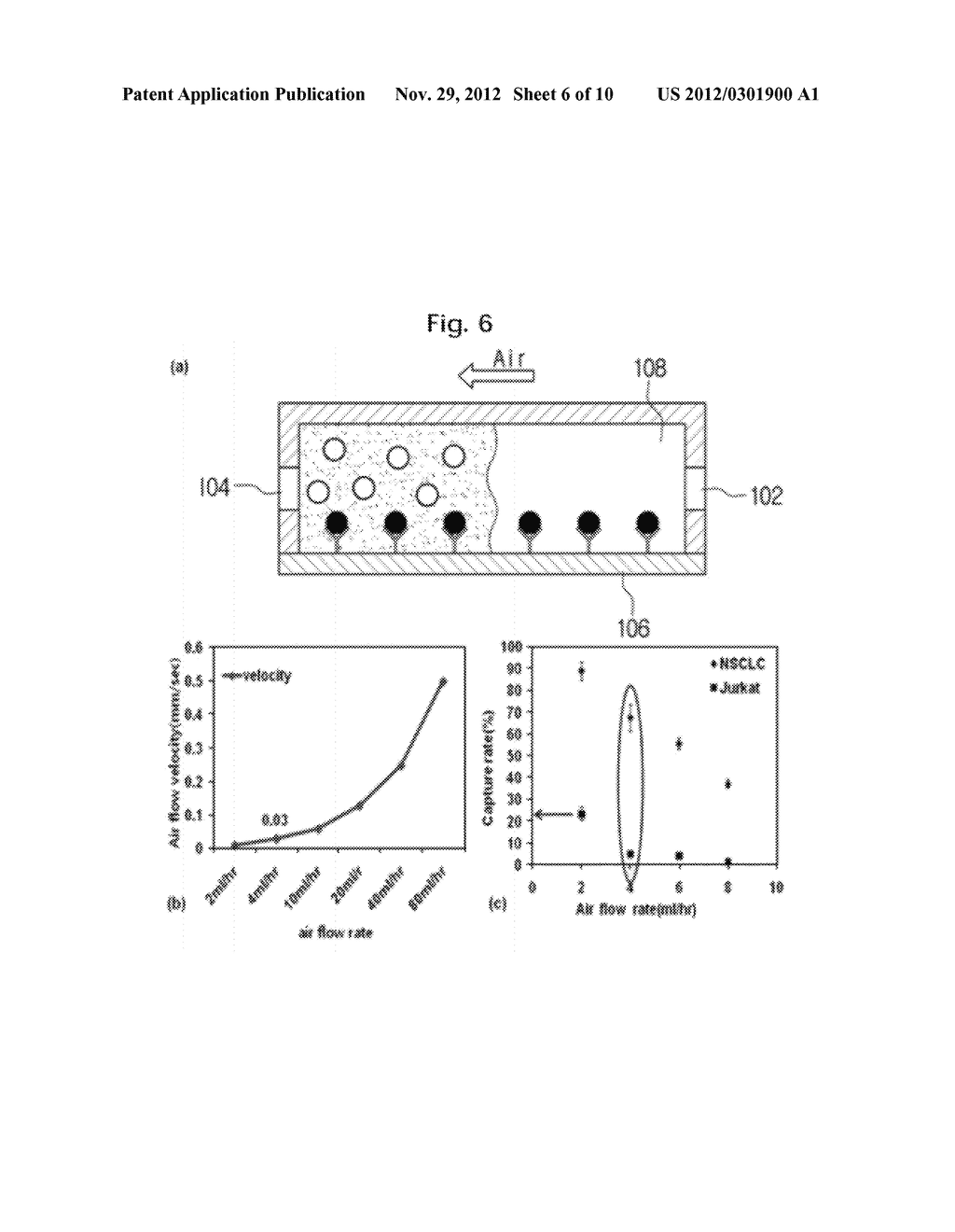 APPARATUS AND METHOD FOR DETECTING TUMOR CELLS - diagram, schematic, and image 07