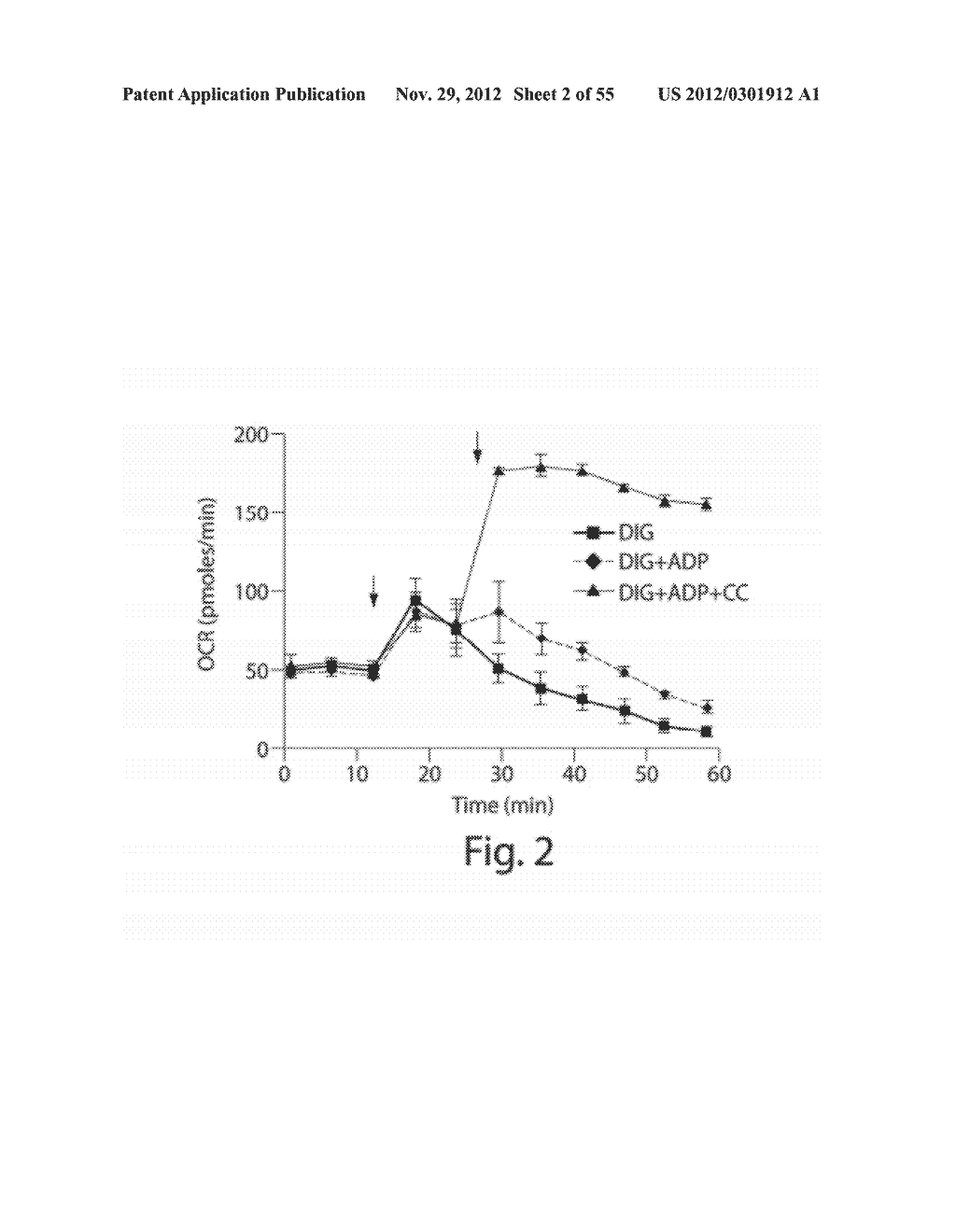 METHODS, COMPOSITIONS AND KITS FOR ASSAYING MITOCHONDRIAL FUNCTION - diagram, schematic, and image 03