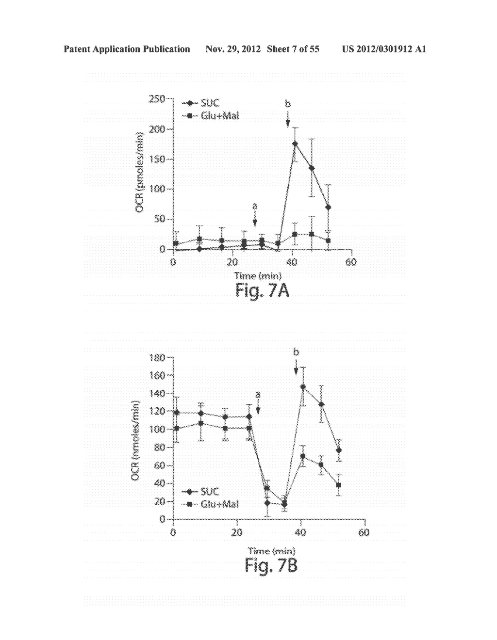 METHODS, COMPOSITIONS AND KITS FOR ASSAYING MITOCHONDRIAL FUNCTION - diagram, schematic, and image 08