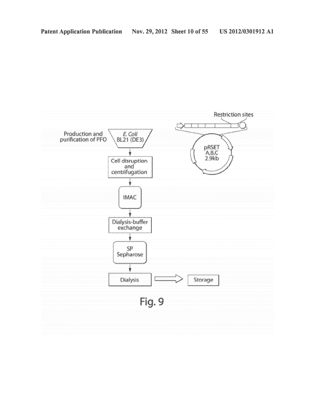 METHODS, COMPOSITIONS AND KITS FOR ASSAYING MITOCHONDRIAL FUNCTION - diagram, schematic, and image 11