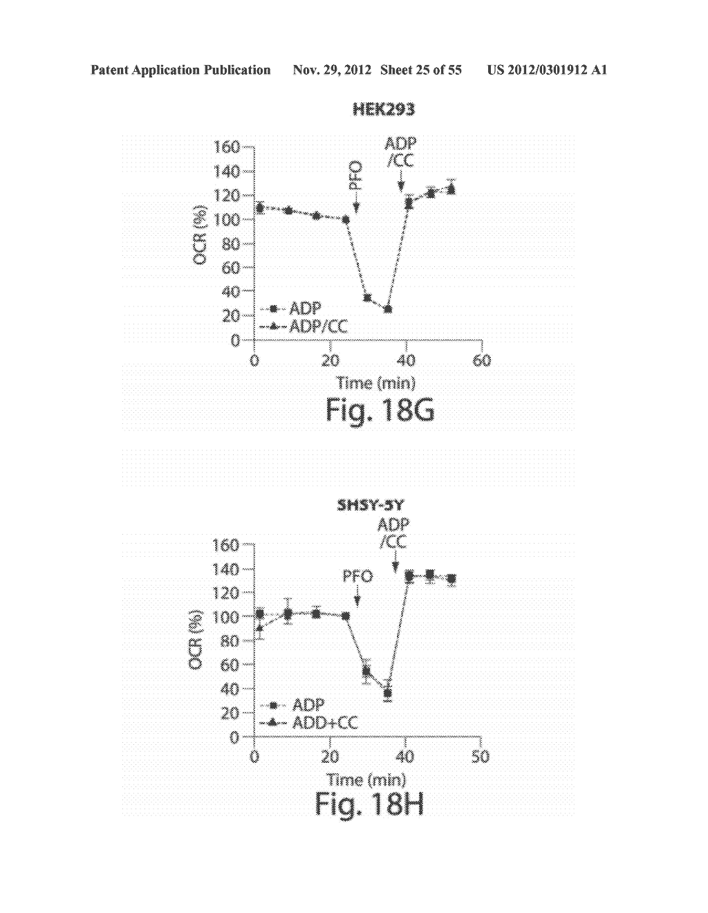 METHODS, COMPOSITIONS AND KITS FOR ASSAYING MITOCHONDRIAL FUNCTION - diagram, schematic, and image 26