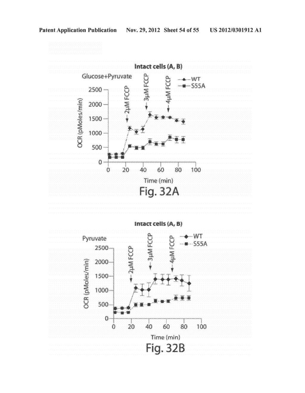 METHODS, COMPOSITIONS AND KITS FOR ASSAYING MITOCHONDRIAL FUNCTION - diagram, schematic, and image 55