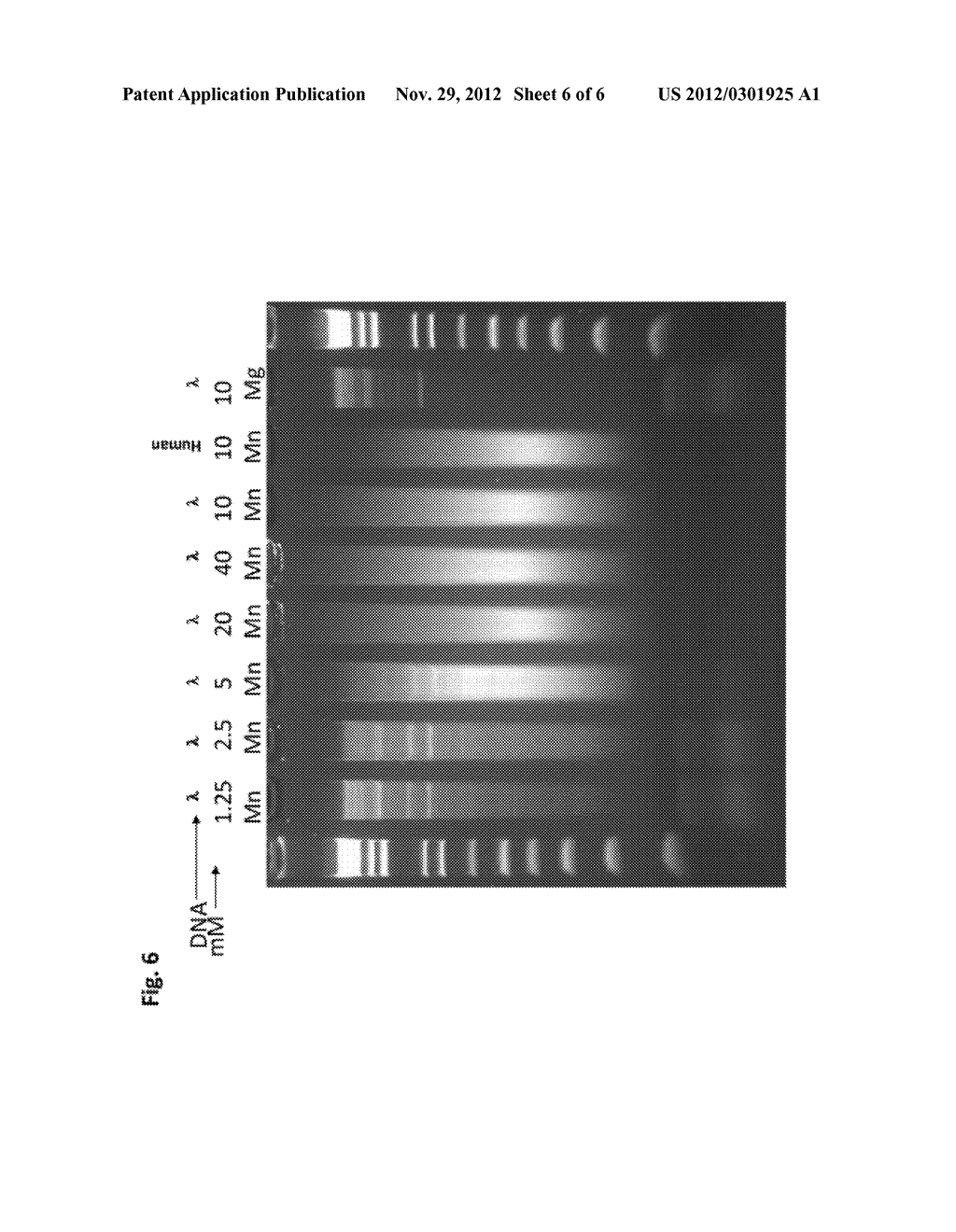 METHODS AND COMPOSITIONS FOR DNA FRAGMENTATION AND TAGGING BY TRANSPOSASES - diagram, schematic, and image 07