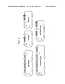 RECOMBINANT MICROORGANISM FOR SIMULTANEOUSLY PRODUCING 3-HYDROXYPROPIONIC     ACID AND 1,3 PROPANEDIOL diagram and image
