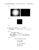 CHIP PROVIDED WITH FILM HAVING HOLE PATTERN WITH THE USE OF     THERMORESPONSIVE POLYMER AND METHOD OF PRODUCING THE SAME diagram and image