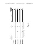 Modified messenger RNA stabilizing sequences for expressing genes in     bacterial cells diagram and image