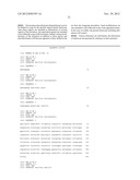 Modified messenger RNA stabilizing sequences for expressing genes in     bacterial cells diagram and image