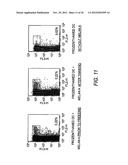 Cryoconserved Mature Dendritic Cells diagram and image