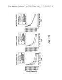 Cryoconserved Mature Dendritic Cells diagram and image