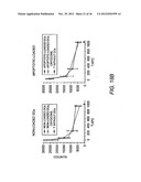 Cryoconserved Mature Dendritic Cells diagram and image