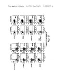 Cryoconserved Mature Dendritic Cells diagram and image