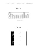 METHOD OF FORMING ALIGNMENT LAYER AND FABRICATION METHOD OF LIQUID CRYSTAL     DISPLAY USING THE SAME diagram and image