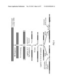 Chromosome Conformation Analysis diagram and image