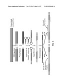 Chromosome Conformation Analysis diagram and image