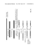 Chromosome Conformation Analysis diagram and image