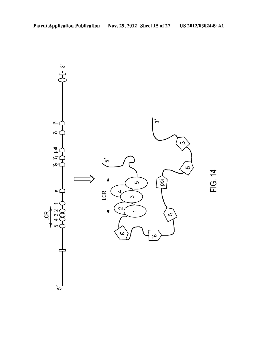 Chromosome Conformation Analysis - diagram, schematic, and image 16