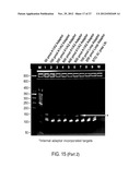 Chromosome Conformation Analysis diagram and image