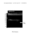 Chromosome Conformation Analysis diagram and image