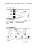 GFP MUTAGENESIS AMPLIFICATION: USE OF A FLUORESCENCE-ANTIBIOTIC RESISTANCE     FUSION DUAL REPORTER CONSTRUCT TO PROVIDE QUANTITATIVE AND HIGHLY     SENSITIVE DETECTION OF MUTATIONS diagram and image